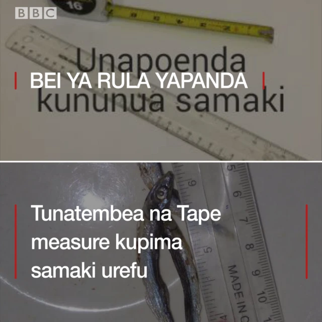 Maofisa wa wizara ya uvuvi wazua gumzo Tanzania