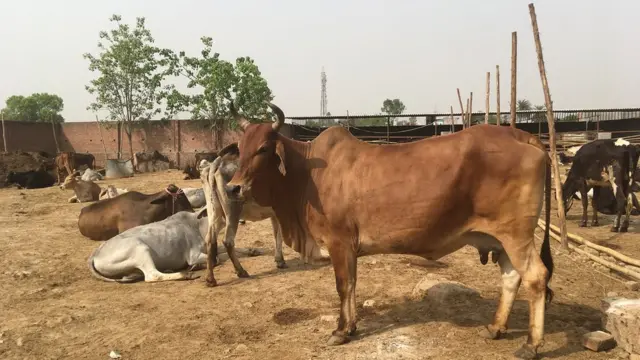 दादरी की बिसहाड़ा गांव