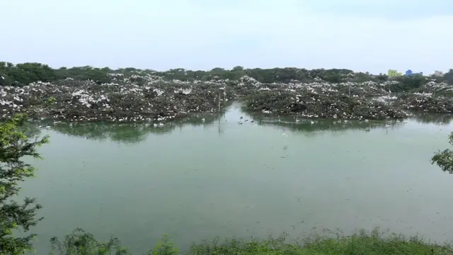 ఉప్పల‌పాడు వలస పక్షుల రక్షిత కేంద్రం