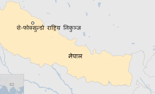 शे-फोक्सुन्डो