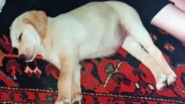 Lily, pictured in Nairobi