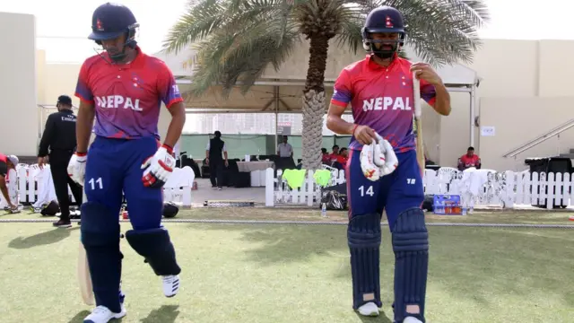 ज्ञानेन्द्र मल्ल र विनोद भण्डारी