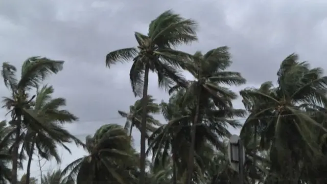 என்டிஆர்எப்