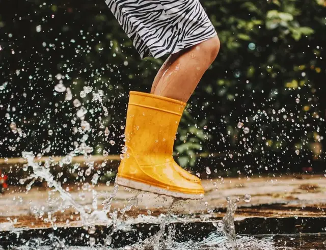 రబ్బరు సంక్షోభం