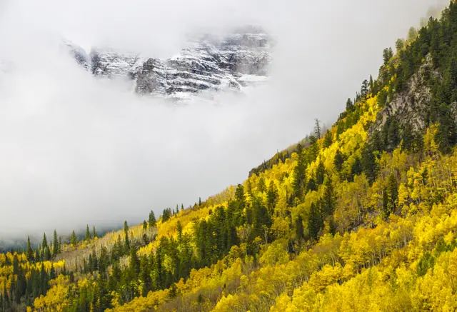 Mountain Fog by Anil Sud