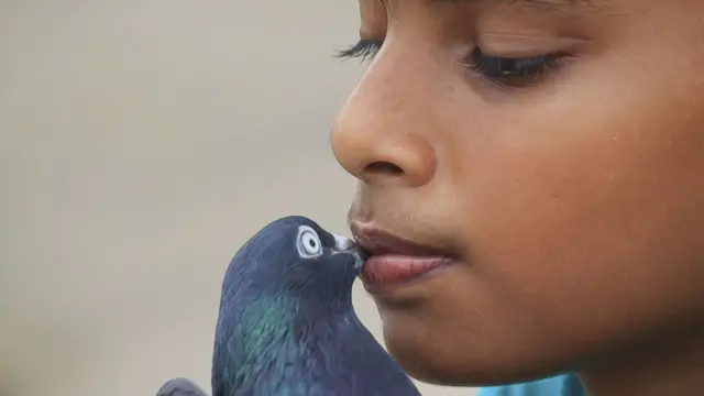 இக்வான் அமீர், சென்னை