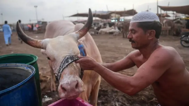 پاکستان، عید الاضحیٰ