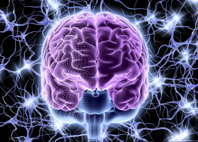 ภาพกราฟิกประกอบ