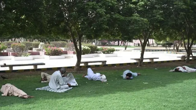 محض درخت لگانے سے ہیٹ ویو معاملہ حل ہوجائے گا یا اس وقت کراچی میں گرمی میں اضافے کی اور بھی وجوہات ہیں؟