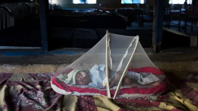 मलेरिया