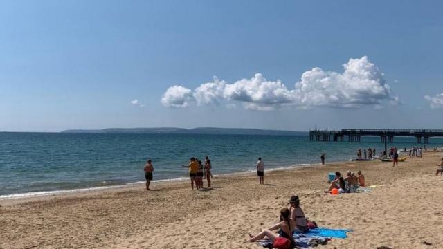 Bournemouth beach closed after large animal spotted in sea