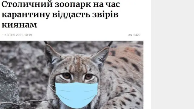 Рись