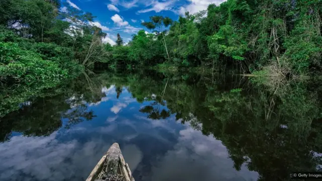 ኣብ ጫካ ኣማዞን ዝነብሩ ቀቢላ፡ ክሳብ ብባዕዳዊ ገዛእቲ ስፔይን ዝውረሩ ብለበዳ ጉንፋዕ ተጠቒዖም ኣይፈልጡን