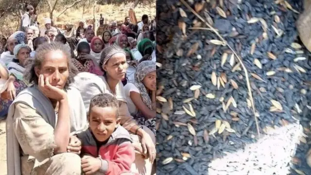 እርዳታ የሚጠብቁ ነዋሪዎችና የተቃጠለ እህል