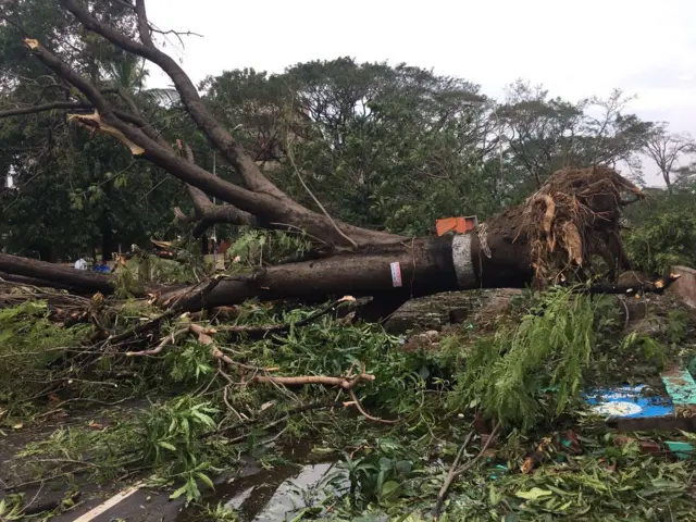 புரட்டி போட்ட 'வர்தா'