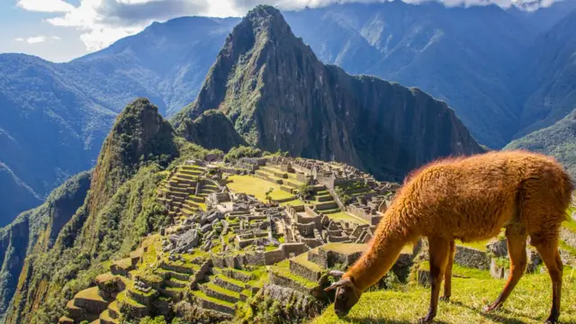 Machu Picchu