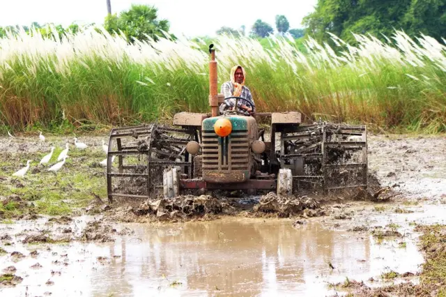 என். வளசுப்ரமணியம்