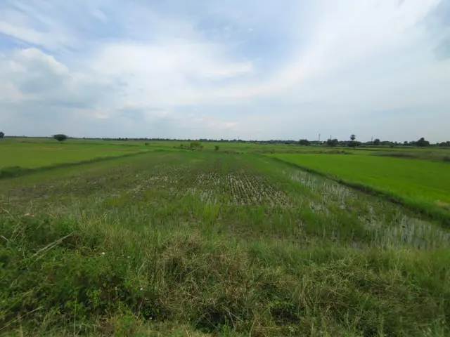 விவசாய நிலம்