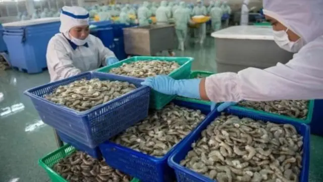 cải cách tư pháp