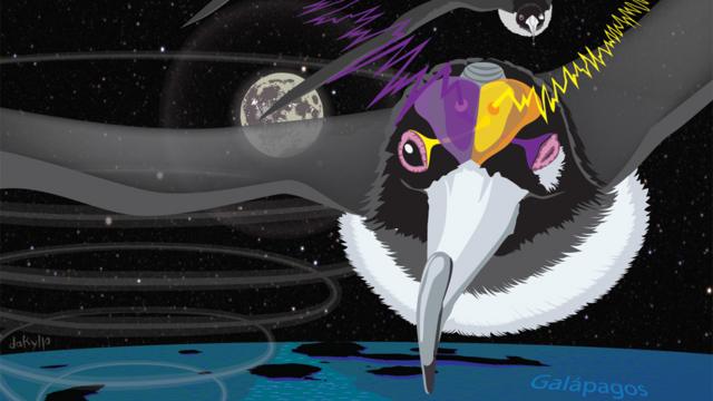 Ilustraçãobbb ao vivo 2024 online agorafragata voando à noite