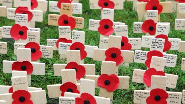 Poppies on crosses at the Westminster Abbey Field of Remembrance