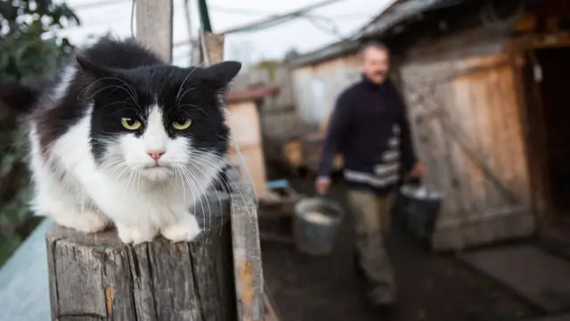Работа в селе