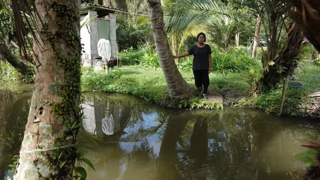 ป้าน้อง สอง
