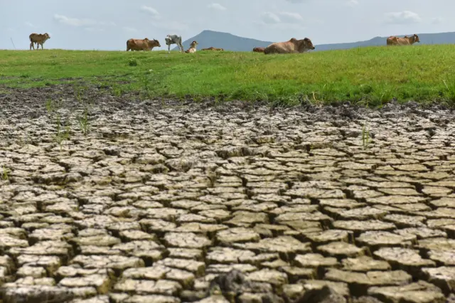 ภัยแล้ง