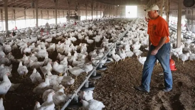 शेतकरी आंदोलन, पंजाब, हरियाणा, कृषी कायदे