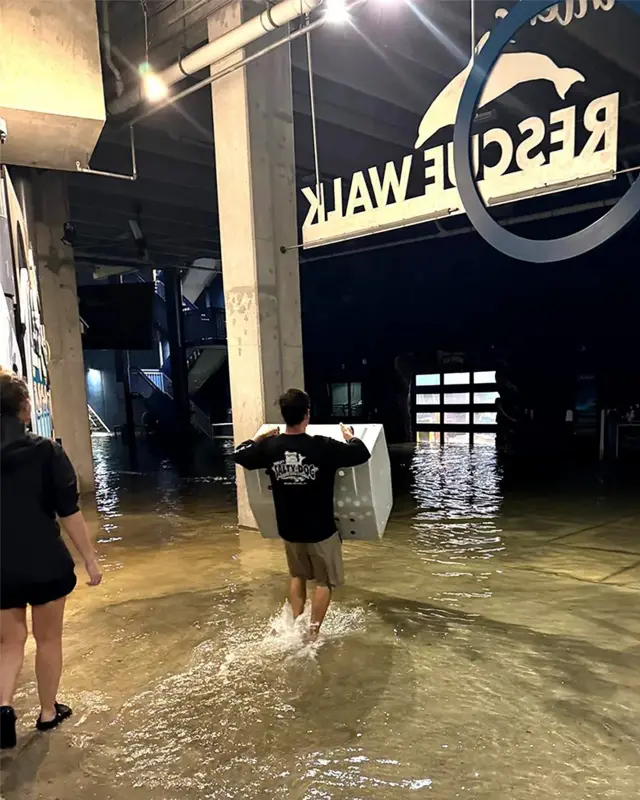Muškarac nosi kutiju i gazi po vodi