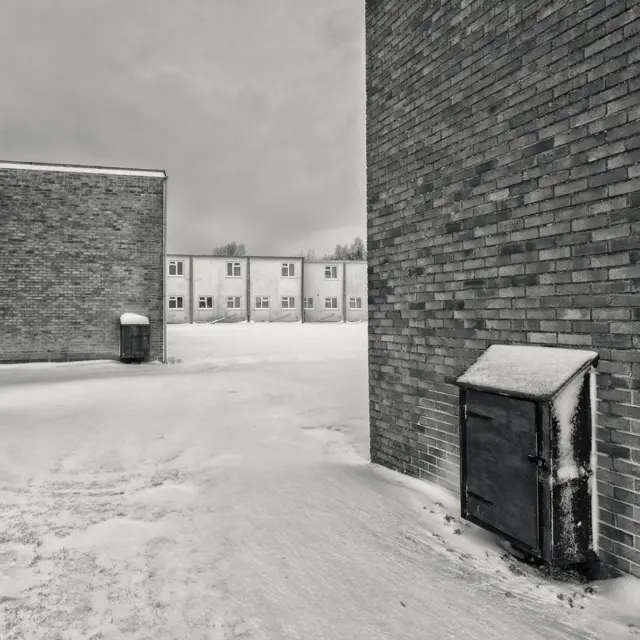 'இயற்கையில் திளைத்தல்' - ஆச்சர்யமூட்டும் தருணங்கள்