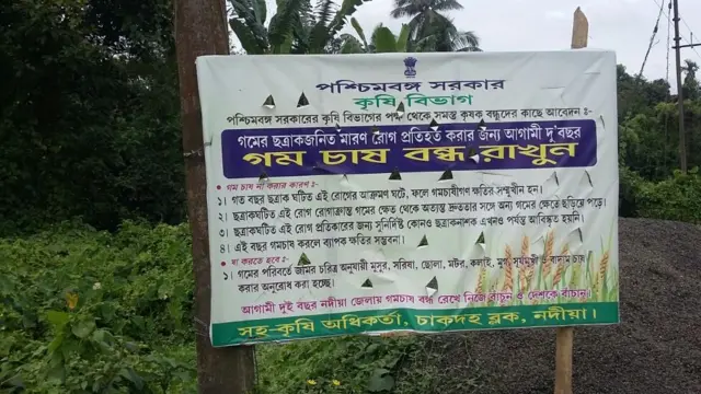পশ্চিমবঙ্গের নদীয়া এবং মুর্শিদাবাদ জেলার ওপরে কৃষি দপ্তর বিশেষ নজর দিচ্ছে