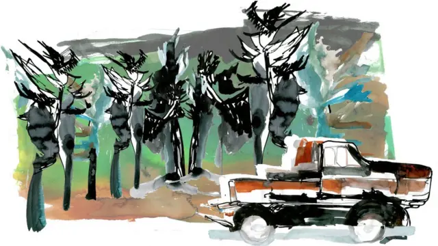 illustration of a truck in front of trees