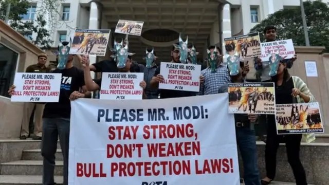 जल्लीकट्टू