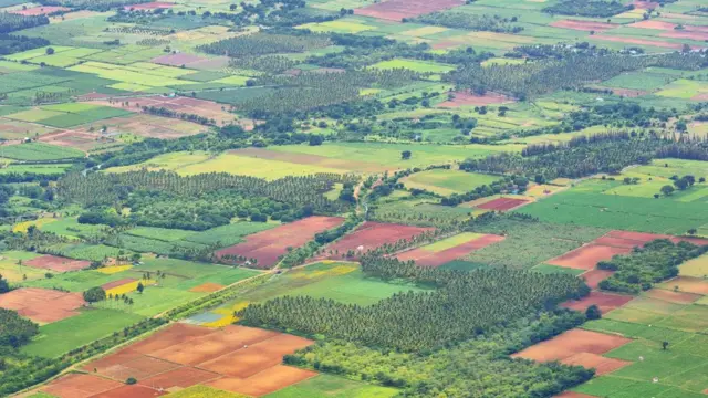 அம்மை முதல் கொரோனா வரை கைகொடுக்கும் தமிழர் மருத்துவ முறை: கவனிக்கப்படாதது ஏன்?