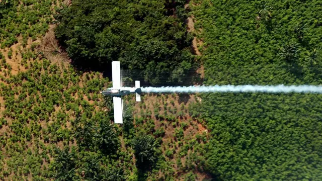 Avión fumiga cultivo ilícito de coca en Colombia