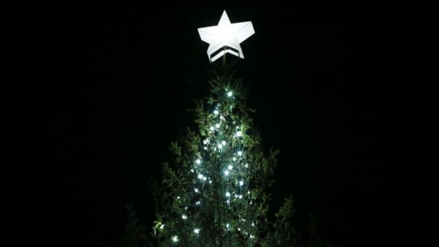 Trafalgar Square Christmas tree The birth of a tradition