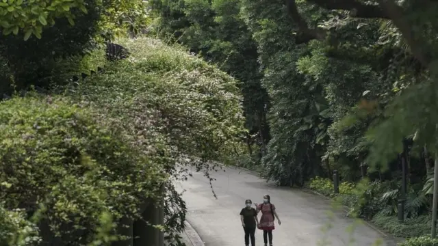 Kebun di Singapura, Covid-19, pariwisata