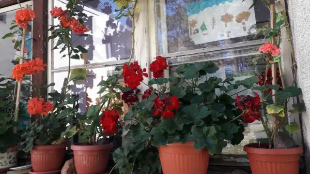 OŠ u Donjoj Kamenici