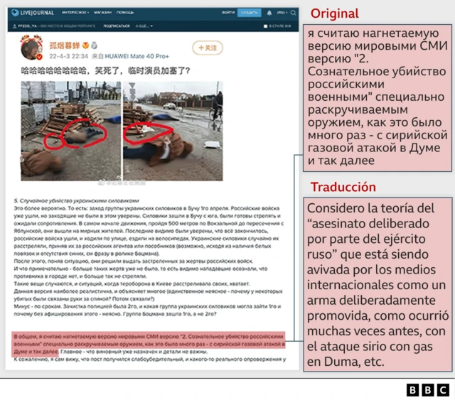 Captura de pantalla de un blog pro-Kremlin.