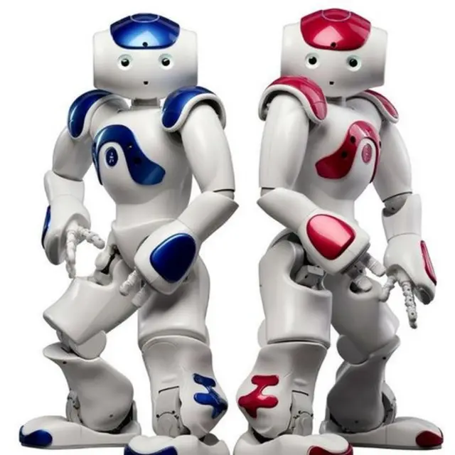 Robots NAO