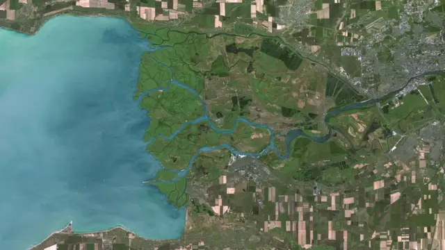 Пониззя Дону