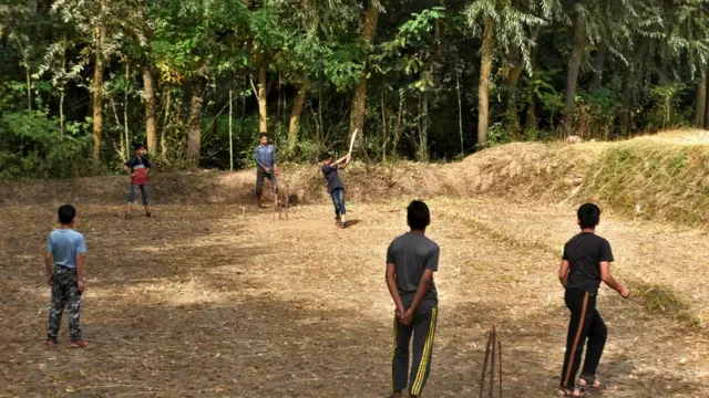 دھان کی فصل