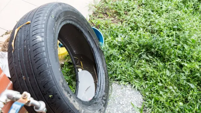 पानी जमा न होने दें