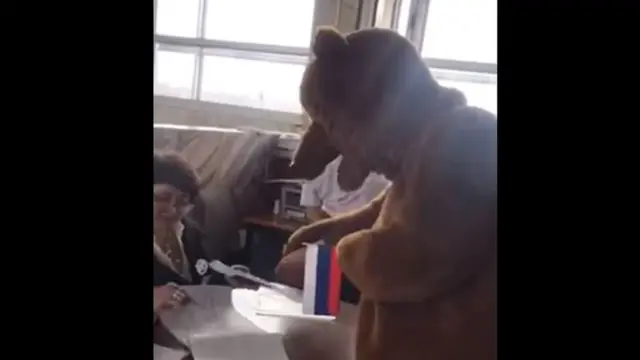 Медведь на выборах