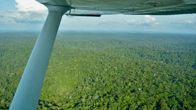 região da aldeia Zo'é