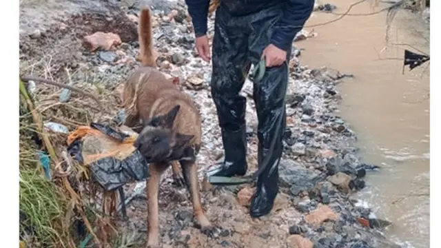 فيضانات الجزائر