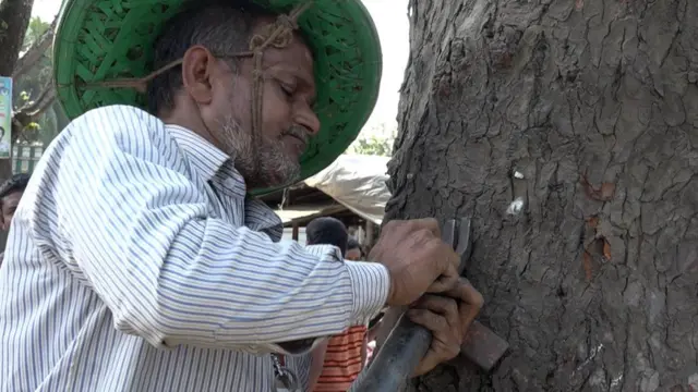 ওয়াহিদ সরদার