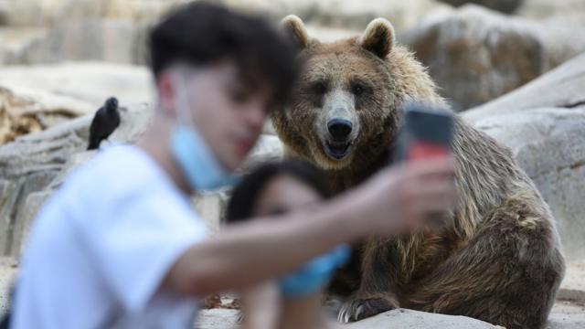 Crianças tirando selfie com urso
