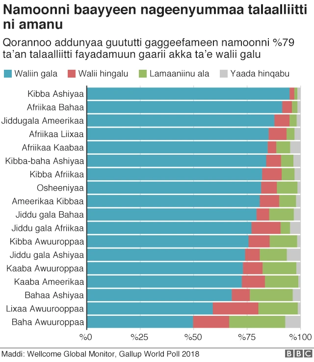 Amantaa namoonni gifiraaf qaban